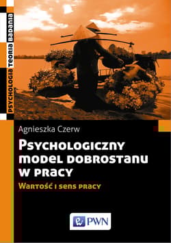 Psychologiczny model dobrostanu w pracy Wartość i sens pracy - Agnieszka Czerw