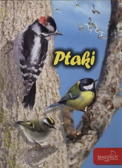 Ptaki - Marzena Popielarska-Konieczna