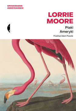 Ptaki Ameryki - ebook - Lorrie Moore