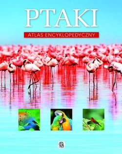 Ptaki atlas encyklopedyczny