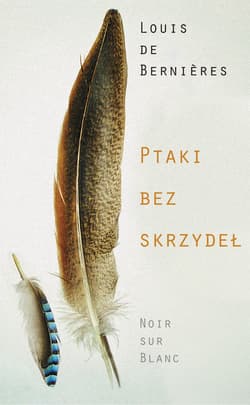 Ptaki bez skrzydeł - ebook