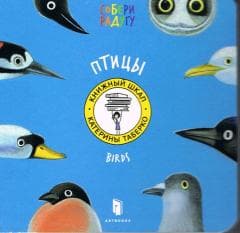 Ptaki. Birds. Wersja rosyjska - Katia Taberko