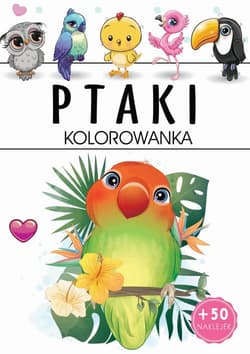 Ptaki Kolorowanka - Praca zbiorowa
