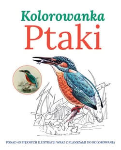 Ptaki Kolorowanka