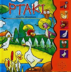 Ptaki Książka dźwiękowa - Praca zbiorowa