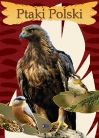 Ptaki Polski - Opracowanie Zbiorowe