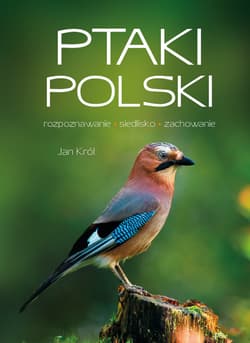 Ptaki Polski - Jan Król