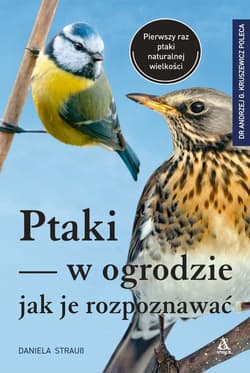 Ptaki w ogrodzie Jak je rozpoznawać - Daniela Strauss