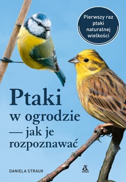 Ptaki w ogrodzie – jak je rozpoznawać - Daniel Straus