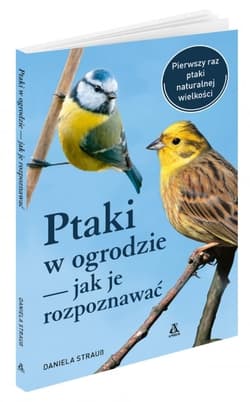 Ptaki w ogrodzie – jak je rozpoznawać - Daniel Straus
