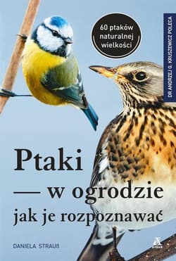 Ptaki w ogrodzie - jak je rozpoznawać - Daniela Strauss