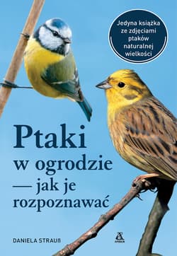 Ptaki w ogrodzie — jak je rozpoznawać wyd. 2024 - Daniela Strauss