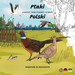 Ptaki w parkach, lasach, miastach i na łąkach... - Ksenia Potępa