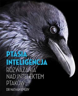 Ptasia inteligencja Rozważania nad intelektem ptaków