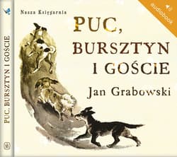 Puc, Bursztyn i goście - audiobook - Jan Grabowski