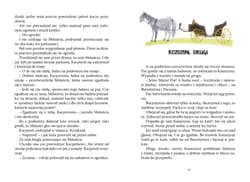 Galeria - zdjęcie nr. 3 - Puc, Bursztyn i goście wyd. 2025