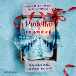Pudełko z marzeniami - audiobook - Magdalena Witkiewicz, Alek Rogoziński