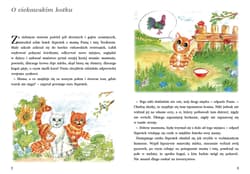 Galeria - zdjęcie nr. 2 - PUS Czytanie ze zrozumieniem 3 - O ciekawskim kotku