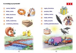 Galeria - zdjęcie nr. 2 - PUS Jaki jaka jakie przymiotniki część 1 Gramatyka języka polskiego