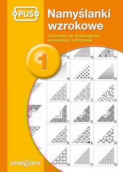PUS Namyślanki wzrokowe 1 - Praca zbiorowa