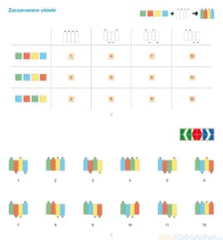 Galeria - zdjęcie nr. 2 - PUS Namyślanki wzrokowe dla siedmiolatków ćwiczenia percepcji wzrokowej dla najmłodszych