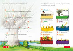 Galeria - zdjęcie nr. 3 - PUS Ortografia 2 zmiękczenia