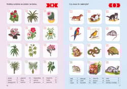 Galeria - zdjęcie nr. 2 - PUS To już potrafię 2 Ćwiczenia utrwalająco sprawdzające dla dzieci w klasach I-II