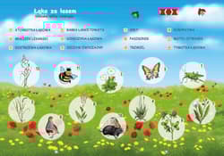 Galeria - zdjęcie nr. 2 - PUS To już potrafię 4 Ćwiczenia utrwalająco sprawdzające dla dzieci w klasach II-III