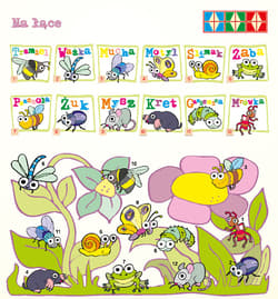 Galeria - zdjęcie nr. 2 - PUS W świecie zwierząt 1 Nazywanie i rozróżnianie zwierząt