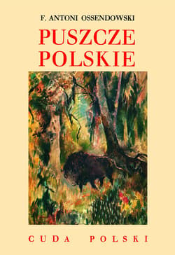 Puszcze polskie - Antoni Ferdynand Ossendowski