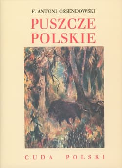 Puszcze polskie Cuda Polski - Antoni Ferdynand Ossendowski
