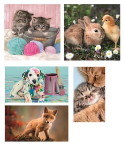 Galeria - zdjęcie nr. 3 - Puzzle 10 w 1 Super Kolor Animal Friends 20283