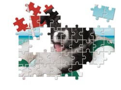 Galeria - zdjęcie nr. 2 - Puzzle 10 w 1 Super Kolor Animal Friends 20283