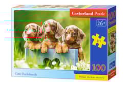 Puzzle 100 Urocze jamniki B-111213