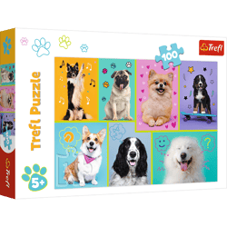 Puzzle 100 W świecie piesków 16421