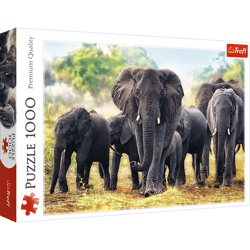 Puzzle 1000 Afrykańskie słonie 10442