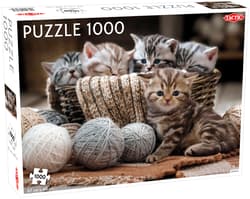Puzzle 1000 Animals Cute Kittens