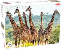 Puzzle 1000 Animals Tall Giraffes