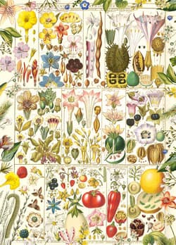 Galeria - zdjęcie nr. 2 - Puzzle 1000 Botaniczna rozkosz 113715
