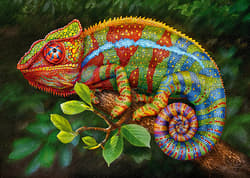 Galeria - zdjęcie nr. 3 - Puzzle 1000 CherryPazzi Chameleon 30011