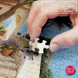 Galeria - zdjęcie nr. 3 - Puzzle 1000 CherryPazzi Dream of Us 31551