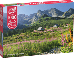 Puzzle 1000 CherryPazzi Gąsienicowa hall in Tatras 30059