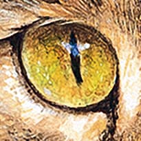 Galeria - zdjęcie nr. 2 - Puzzle 1000 CherryPazzi Gemini 30196