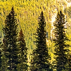 Galeria - zdjęcie nr. 5 - Puzzle 1000 CherryPazzi Lake Vermilion Banff National Park Canada 30165