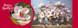 Galeria - zdjęcie nr. 2 - Puzzle 1000 CherryPazzi Magnolia Elegance 31599