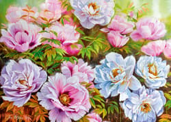 Galeria - zdjęcie nr. 3 - Puzzle 1000 CherryPazzi Poenyssimo Opus 5 30608