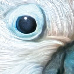 Galeria - zdjęcie nr. 3 - Puzzle 1000 CherryPazzi Tropic Spirits Cockatoo 30462