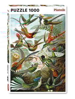 Puzzle 1000 Haeckel Kolibry