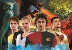 Galeria - zdjęcie nr. 2 - Puzzle 1000 Harry Potter 39656
