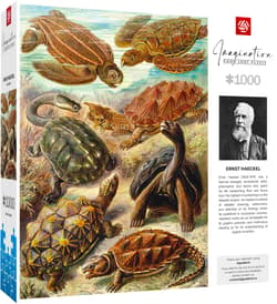 Galeria - zdjęcie nr. 5 - Puzzle 1000 Imagination Ernst Haeckel Chelonia Żółwie Morskie